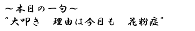 大叩き 理由は今日も 花粉症